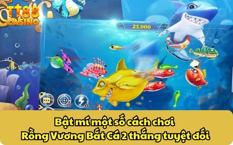 Bật mí một số cách chơi Rồng Vương Bắt Cá 2 thắng tuyệt đối
