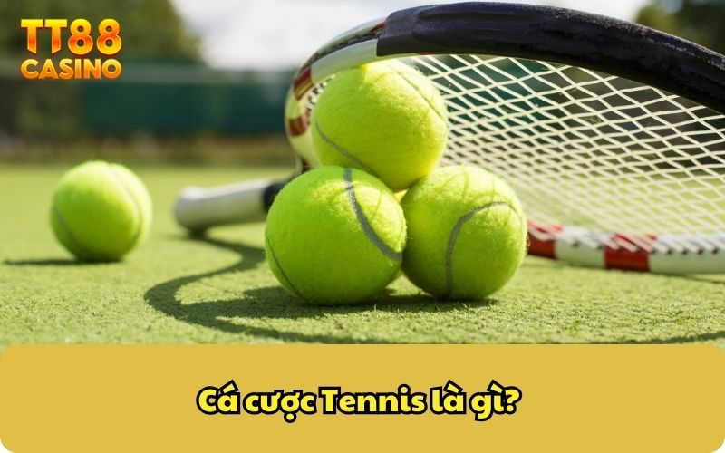 Cá cược tennis là gì?