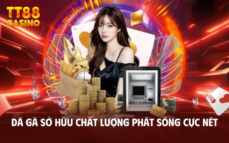 Đá gà sở hữu chất lượng phát sóng cực nét