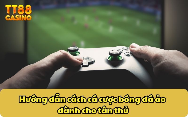 Hướng dẫn cách cá cược bóng đá ảo dành cho tân thủ
