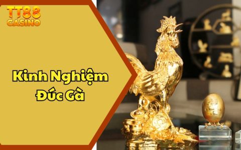Kinh Nghiệm Đúc Gà Chiến Cực Hiệu Quả Từ Các Cao Thủ