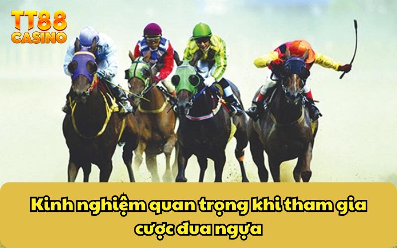 Kinh nghiệm quan trọng khi tham gia cược đua ngựa
