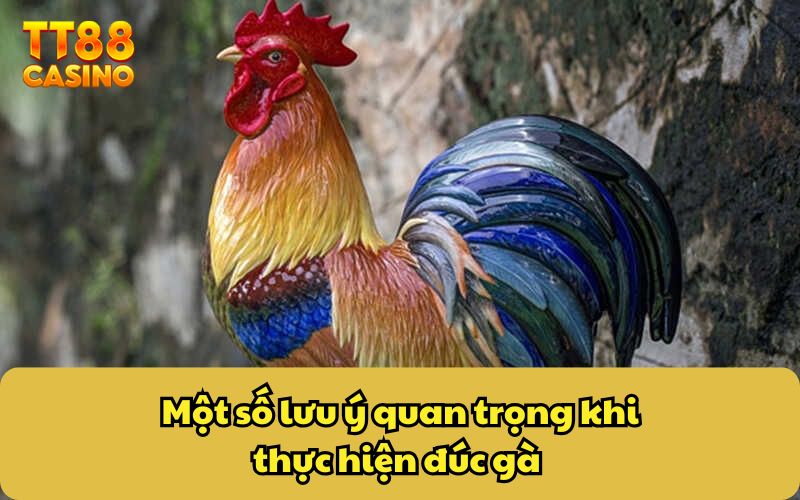 Một số lưu ý quan trọng khi thực hiện đúc gà 