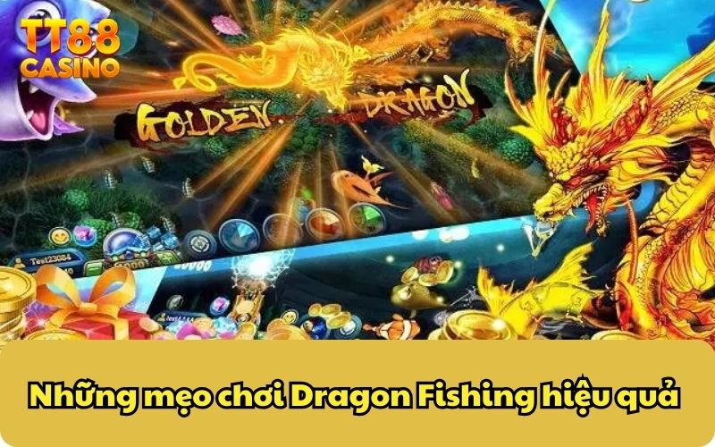 Những mẹo chơi Dragon Fishing hiệu quả